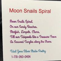 Moon Snail Sterling Silver Ear Cuff