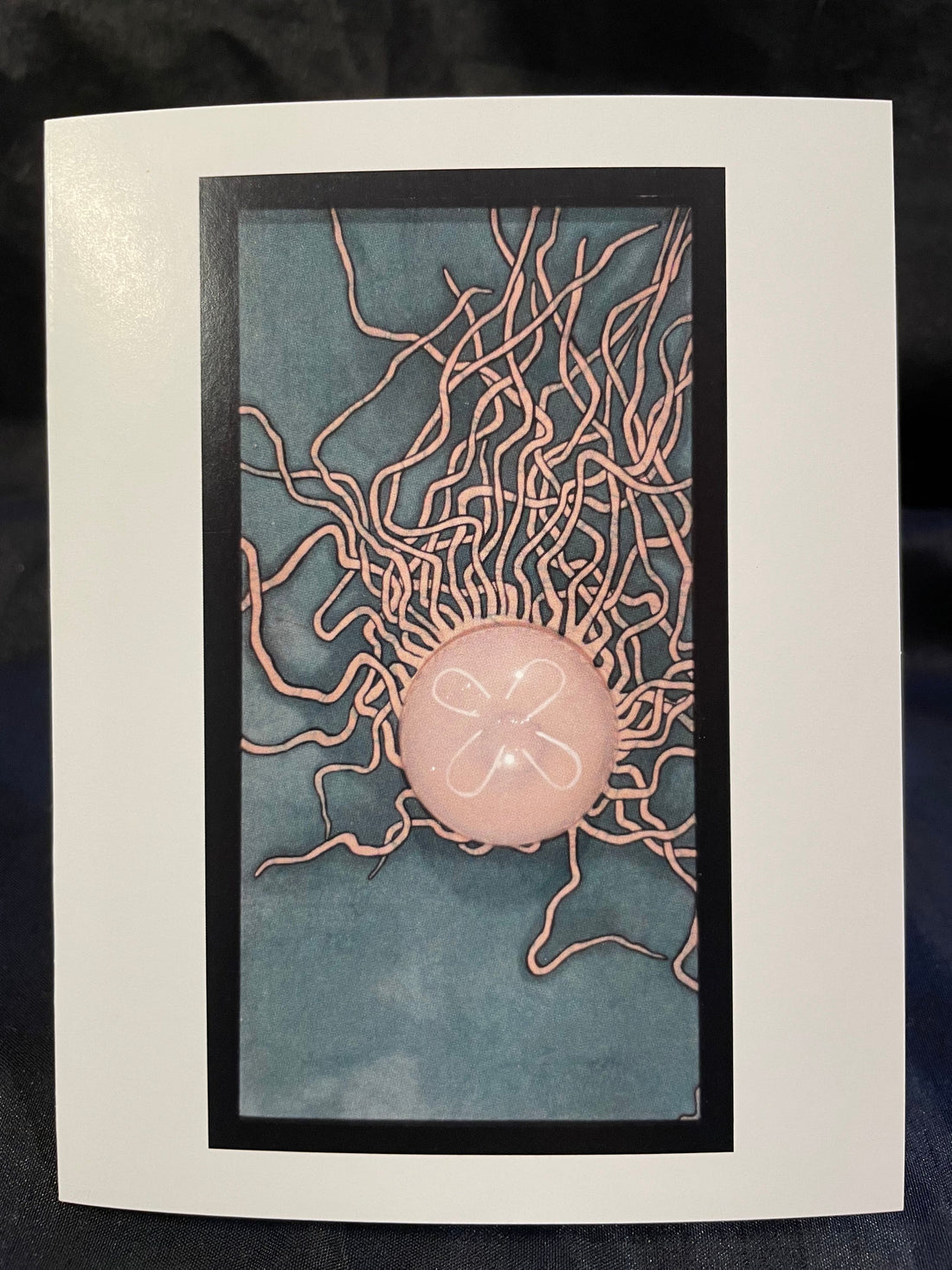 Jellyfish | Fine Art Greeting Card